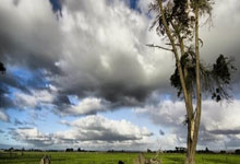 外泌体是什么东西