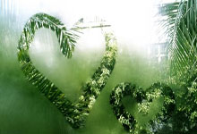 外泌体是什么东西