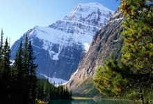 台湾女子剪断男友生殖器冲马桶获刑