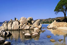 外泌体是什么东西