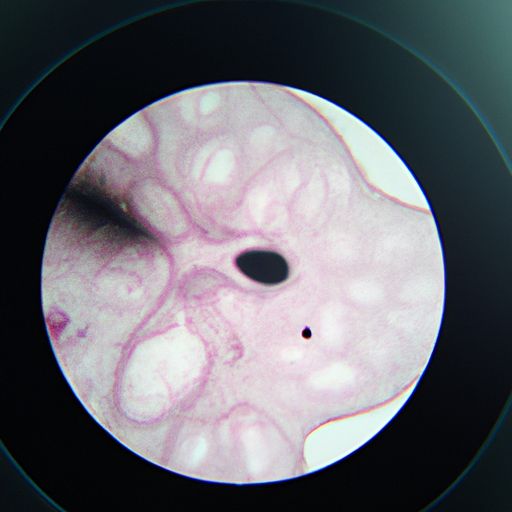 干细胞外泌体的作用和功效
