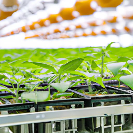 外泌体提取试剂盒区别种类 外泌体提取试剂盒区别种类