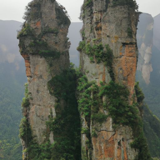 张兰家族信托为何被击穿