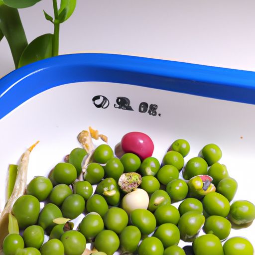 端牢“中国饭碗”背后的种子力量